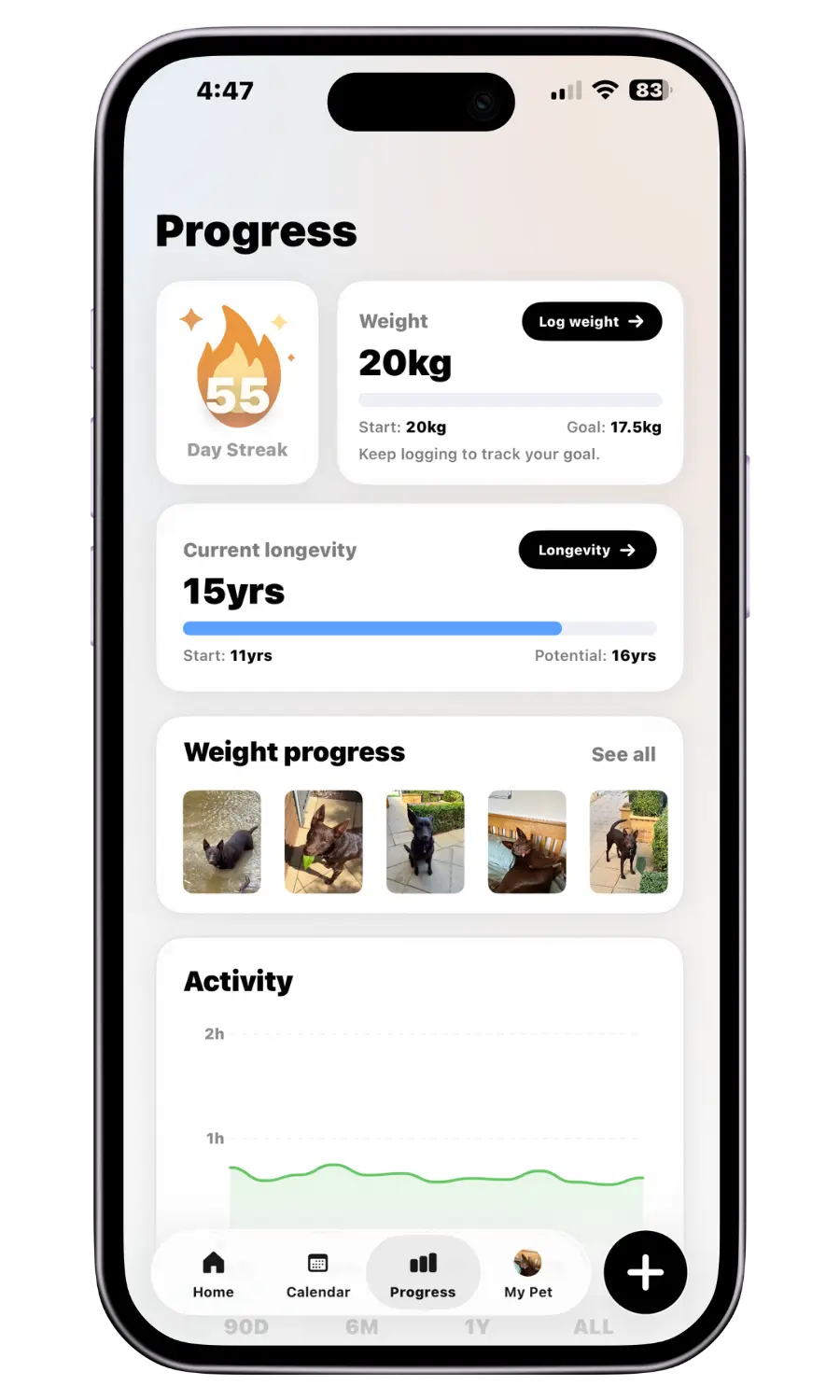 Pet.ai progress and streaks screen